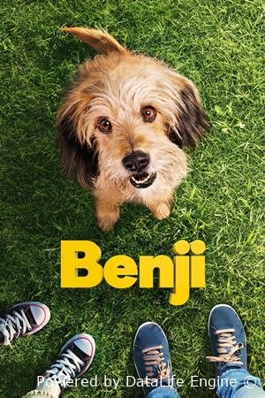 ბენჯი / Benji ქართულად