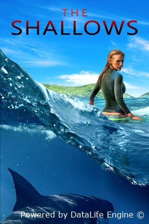 სისხლიანი ნაპირი / The Shallows (ქართულად)