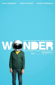 Wonder / საოცრება (ქართულად)